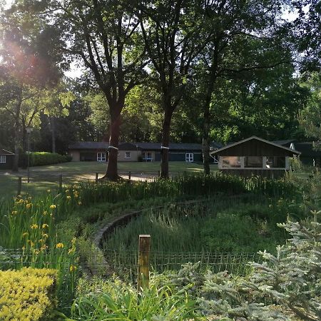 Waldjugendherberge Uelsen Kültér fotó
